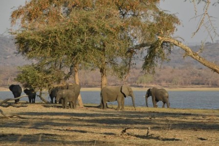 Reis Malawi Beroepencollege De Swaef